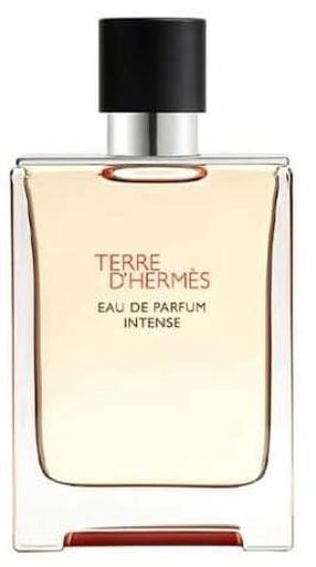 Parfüümvesi Hermès Terre d´Hermes Intense, 100 ml