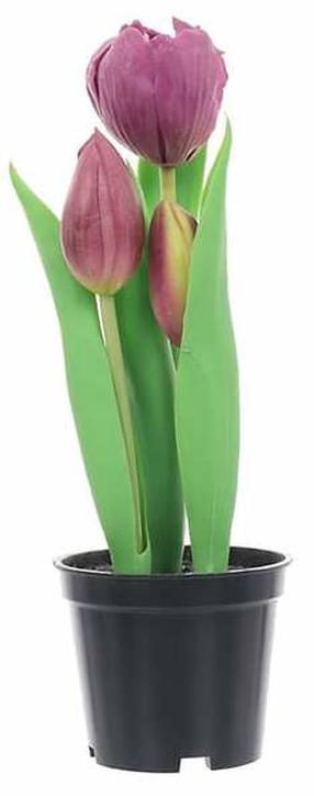 Dirbtinė gėlė vazone, tulpė, violetinė sp., 24 cm