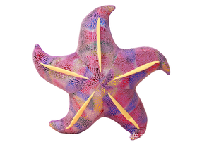 Pliušinis žaislas jūrų žvaigždė Pillow, violetinė sp., 20 cm
