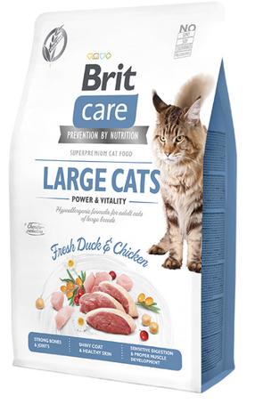 Сухой корм для кошек Brit Grain-Free Power & Vitality, курица/мясо утки, 0.4 кг