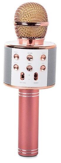 Vaikiškas mikrofonas Karaoke Microphone WS-858
