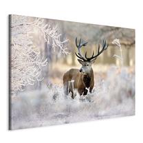 Reprodukcija Artgeist Deer in the Cold MDF02, 30 cm x 20 cm