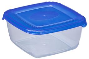 Toidukarp Plast Team Polar Boxes 5674, 0.46 l