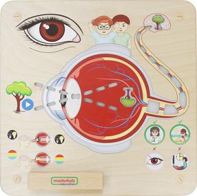 Развивающая доска, тело человека Masterkidz Sense Of Sight, красный цв./коричневатый цв.
