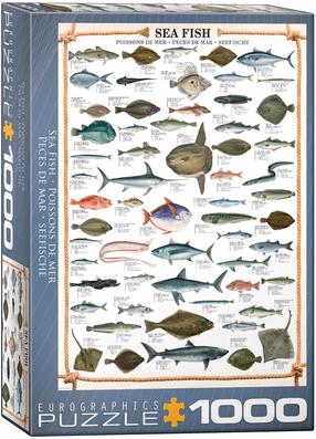 Dėlionė Eurographics Sea Fish 6000-0313, 67.6 cm x 48.9 cm, 1000 vnt., įvairių spalvų