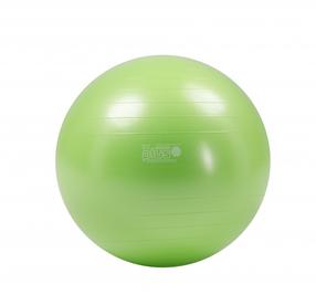 Gimnastikos kamuolys Gymnic Plus 65