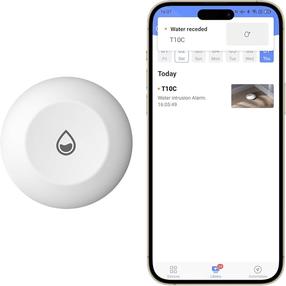 Детекторы воды Ezviz T10C Smart Home Water Leak Sensor, 100 дБ