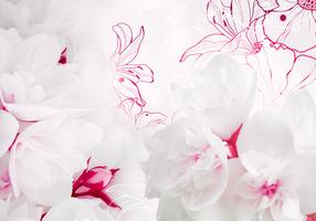Фотообои Artgeist Enveloped In White, 210 см x 300 см