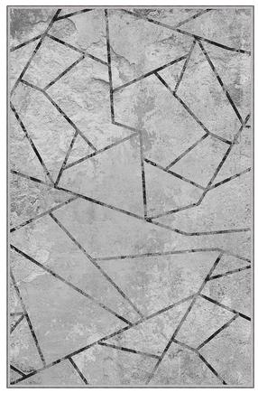 Kilimas Conceptum Hypnose EEXFAB825 369HFT3423, pilka sp., 80 cm x 150 cm
