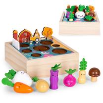 Lavinimo žaislas EcoToys Vegetable Garden Farm, 6.2 cm, įvairių spalvų