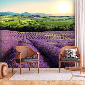 Fototapetas Artgeist Lavender Field 2XLFT1940, 210 cm x 300 cm