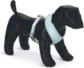 Petnešos šunims Beeztees Harness, mėlyna sp., 320 - 460 mm x 140 mm, 14 x 32 x 46 cm