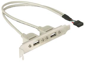 Adapteris Delock USB 2.0 A female x 2, USB 10 pin internal, 0.3 m, pelēka krās.