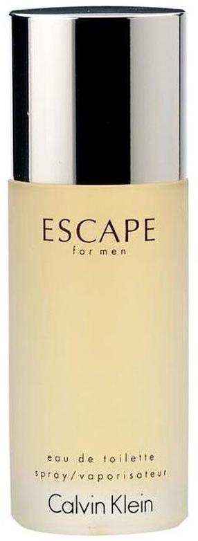 Tualetinis vanduo Calvin Klein Escape For Men Men, 100 ml