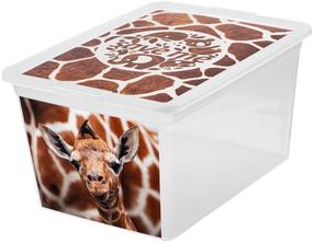 Uzglabāšanas kaste ar vāku, rotaļlietām Branq X Box Deco, 15 l, caurspīdīga krās./brūna krās., 38.5 x 28.5 x 20 cm