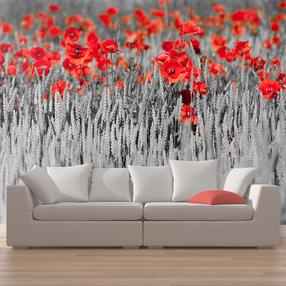 Fototapeet Artgeist Red Poppies On Black And White Background, 270 cm x 450 cm