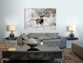 Reprodukcija Artgeist Lonely Deer N7056-DKPWD, 120 cm x 80 cm