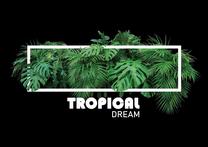 Paveikslas DecoKing Tropical, 70 cm x 50 cm