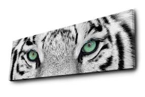 Dekoracija Wallity Canvas Painting, 30 cm, 90 cm, balta sp./juoda sp.