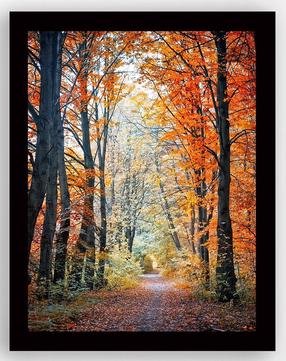 Fotomaal Wallity SC0033, 41 cm x 56 cm