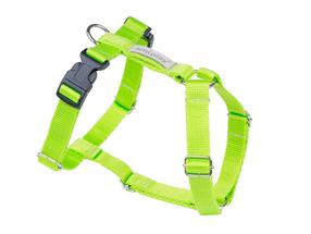Petnešos šunims Amiplay Samba, žalia sp., 350 - 550 mm x 20 mm, 35-55