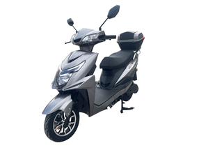 Elektrinis motoroleris Z1000 Li-ion, 20000 mAh, 1 kW, pilka sp.