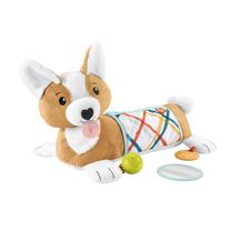 Veiklos pagalvėlė Mattel Fisher Price Puppy Tummy Wedge HJW10, 43 cm x 38 cm, įvairių spalvų