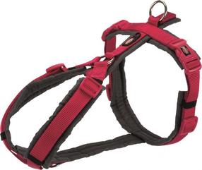 Petnešos šunims Trixie Premium, pilka sp./purpurinė (magenta) sp., 620 - 740 mm x 25 mm, M-L