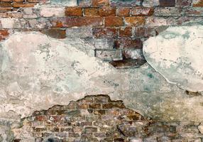Fototapeet Artgeist Tender Walls SFT1013, 210 cm x 300 cm