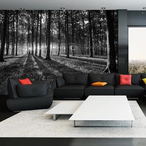 Fototapetas Artgeist The Light in the Forest, 315 cm x 450 cm