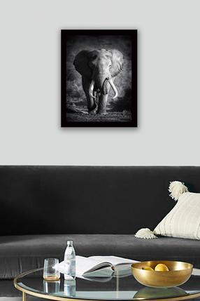 Foto paveikslas Wallity SC0037, 41 cm x 56 cm