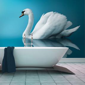 Фотообои Artgeist Swan - Reflection XXLFTNT0999, 231 см x 300 см