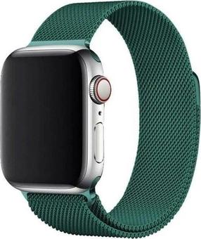 Siksniņa Hurtel, Magnetic Strap Apple Watch 7 41mm, zaļa krās.