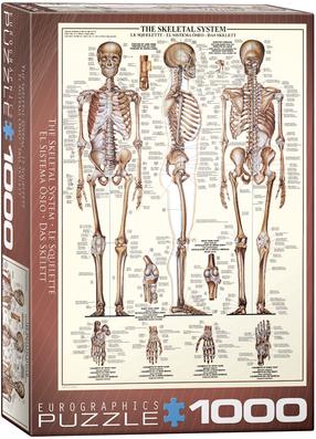 Puzle Eurographics The Skeletal System 6000-3970, 48.9 cm x 67.6 cm, 1000 gab.