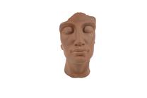 Sodo dekoracija "Veidas" Garden Center LT34762-B, 40.5 cm x 36 cm x 70 cm, ruda sp.