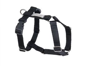 Petnešos šunims Amiplay Guard Samba, juoda sp., 250 - 320 mm x 10 mm, XS