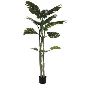 Dirbtinis augalas vazone, monstera, žalia sp., 180 cm
