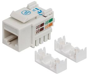 Jungtis Intellinet Cat6 UTP RJ45, balta sp.