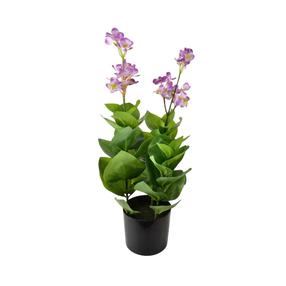 Dirbtinis augalas vazone Mondex Viridis, žalia sp./violetinė sp., 57 cm x 12.5 cm