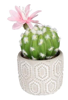 Dirbtinis augalas vazone, kaktusas Splendid Cactus, žalia sp./rožinė sp., 18 cm x 7.5 cm