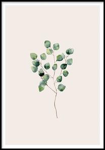 Paveikslas DecoKing Herbarium, 50 cm x 70 cm