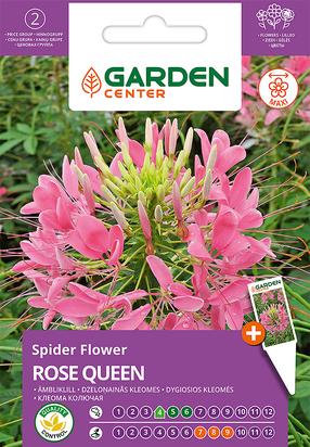 Sėklos Garden Center kleomės ROSE QUEEN, 0.4 g