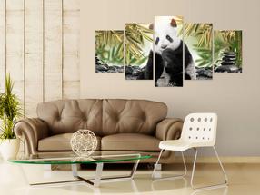 Reproduktsioon Artgeist Cute Panda Bear, g-c-0006-b-o, 200 cm x 100 cm