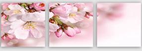Репродукция Wallity P675792, 30 см x 30 см