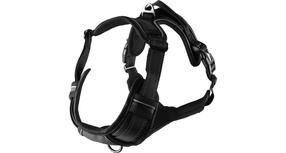 Petnešos šunims Flamingo Balou, juoda sp., 600 - 850 mm x 25 mm, L