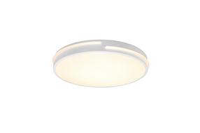 Valgusti lagi Reality Tacoma R62241131, LED, 2700 - 6500 °K, 1 x 24 W, valge v. / valge v.