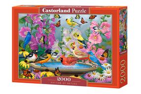 Пазл Castorland Rythm Of Nature 2000 el. C-200818, 68 см x 92 см, 2000 шт., многоцветный