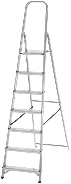 Trepes vienpusējās mājsaimniecības trepes Tarmo, 209 cm