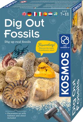 Kaevetööde komplekt Kosmos Dig Out Fossils, pruun v.