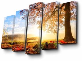 Reprodukcija Wallity 5PUC-030, 50 cm x 82 cm